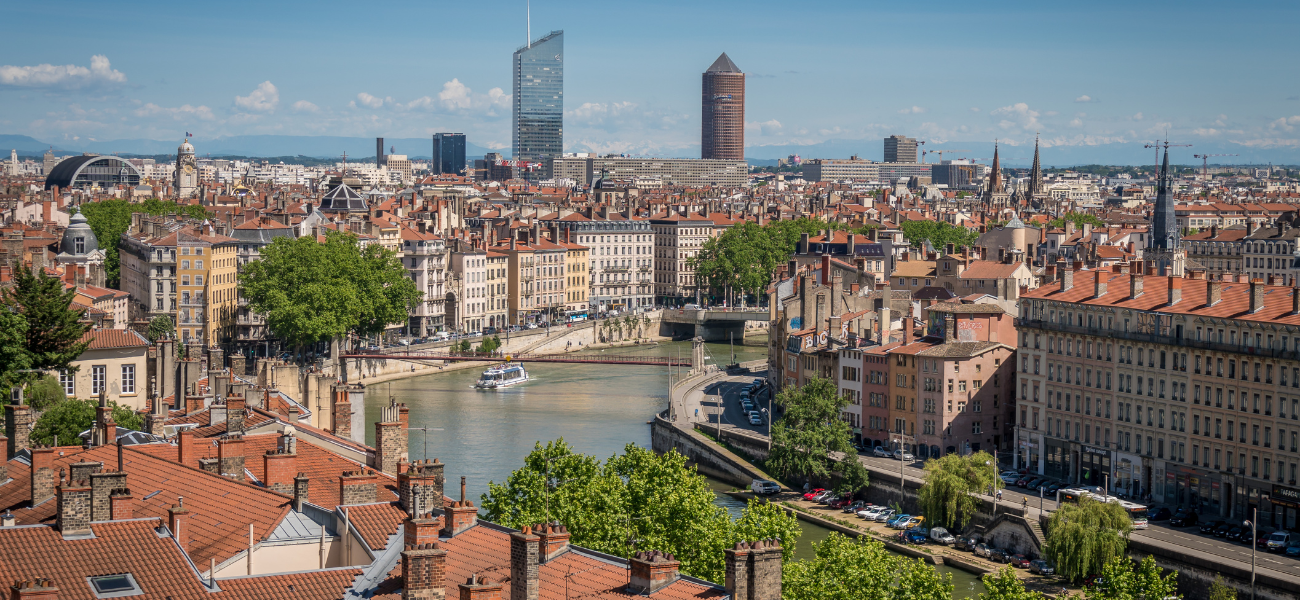 entretien copropriété lyon